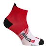 Picture of Absolute 360: Performance Running Socks: Ankle: Red / White