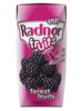Picture of Radnor Fruit Flavour Spring Still Water 200ml Tetra-pak (24 pack)