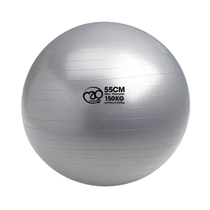 Picture of Mad Fitness: 150Kg Anti-Burst Swiss Ball & Pump - 55cm Silver (FBALL10055)