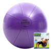 Picture of Mad Fitness: 500Kg Swiss Ball & Pump - 55cm Purple (FBALLSP55K)