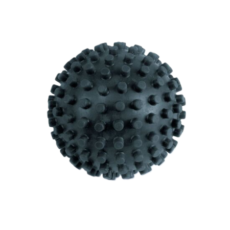 Picture for category Foam Rollers & Massage