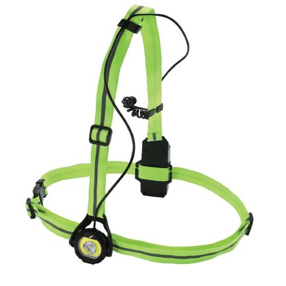 Picture of FITLETIC: Reflex Chest Light