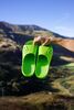 Picture of Enertor Recovery Slides (Green)